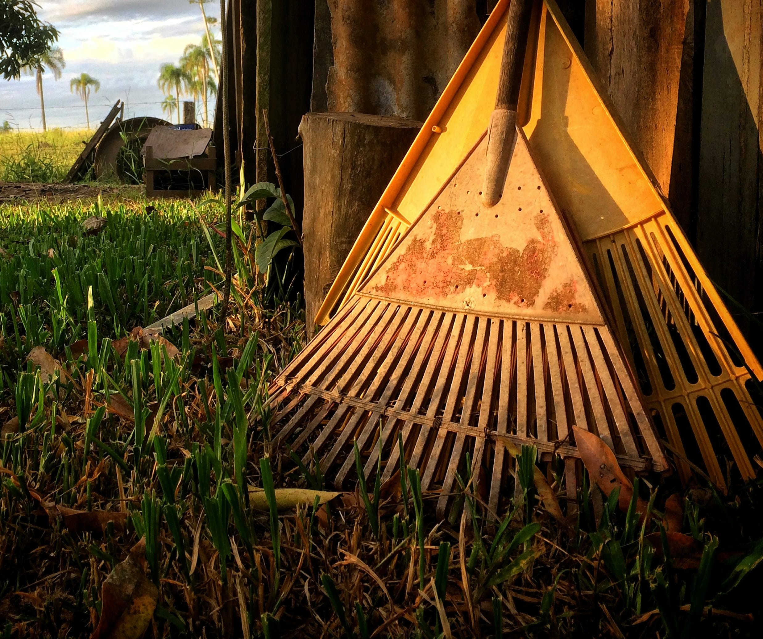 2DAAEDC7-CB5E-4616-BBE6-E338C4A35985